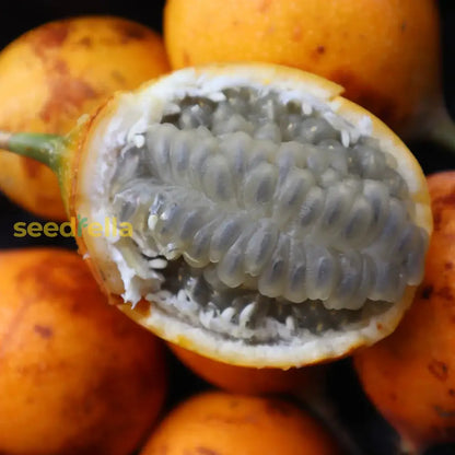 Granadilla Fruit Seeds for Fast-Growing Tropical Planting
