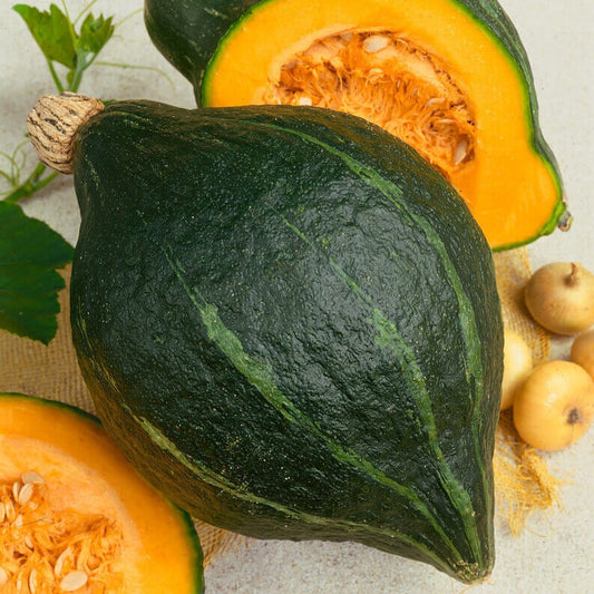 Hubbard Squash Fruit Seeds