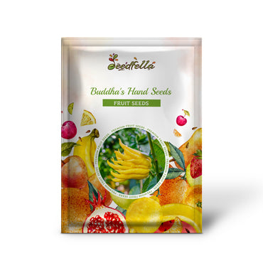 Buddha's Hand Seeds for Planting - Grow Your Own Exotic Plant