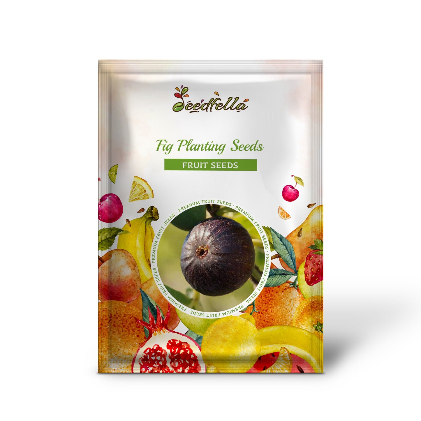 Fig Planting Seeds Collection Grow Fresh Figs in Your Garden