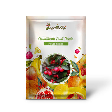 Gaultheria Fruit Seeds for Easy Planting Grow Evergreen Shrubs