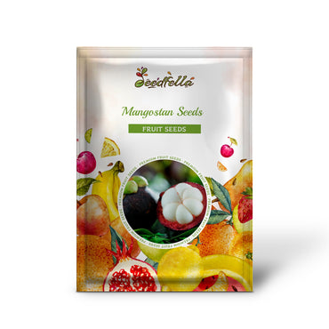 Mangostan-Samen zum Pflanzen Exotische Fruchtsamen für den Hausgarten
