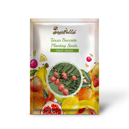 eibe samen kaufen Eibe Samen Zum Pflanzen Für Üppiges Eibenwachstum In Ihrem Garten Samen Für  Üppiges Laub Und Zeitlose Eleganz Biologische Gartensamen – Pure Asia Seeds