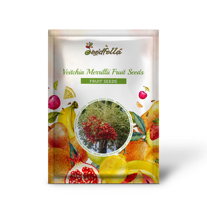 Veitchia Merrillii Fruit Seeds for Tropical Planting - Grow Your Own Majestic Palm