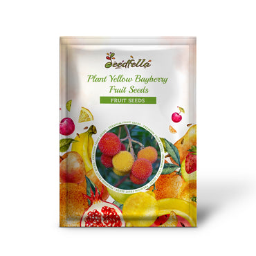 Plant Yellow Bayberry Fruit Seeds