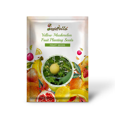 Yellow Muskmelon Fruit Planting Seeds