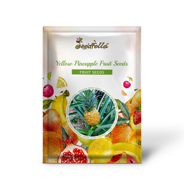 Yellow Pineapple Fruit Seeds Planting