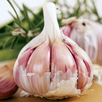 Garlic Vegetable Seeds For Planting: Add Exotic Charm To Your Garden heirloom non-gmo organic garden seeds