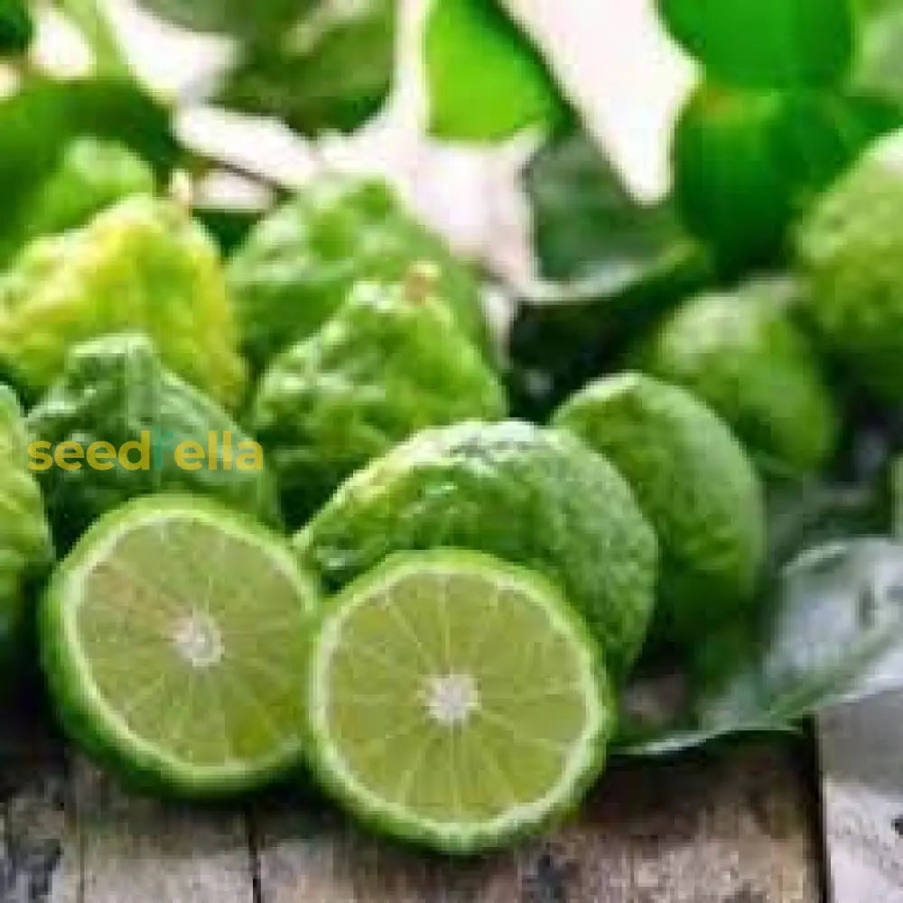 Kaffir Lime Seeds For Planting Fresh Fruit Planting Collection heirloom non-gmo organic garden seeds