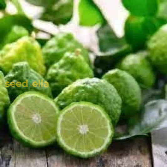 Kaffir Lime Seeds For Planting Fresh Fruit Planting Collection heirloom non-gmo organic garden seeds
