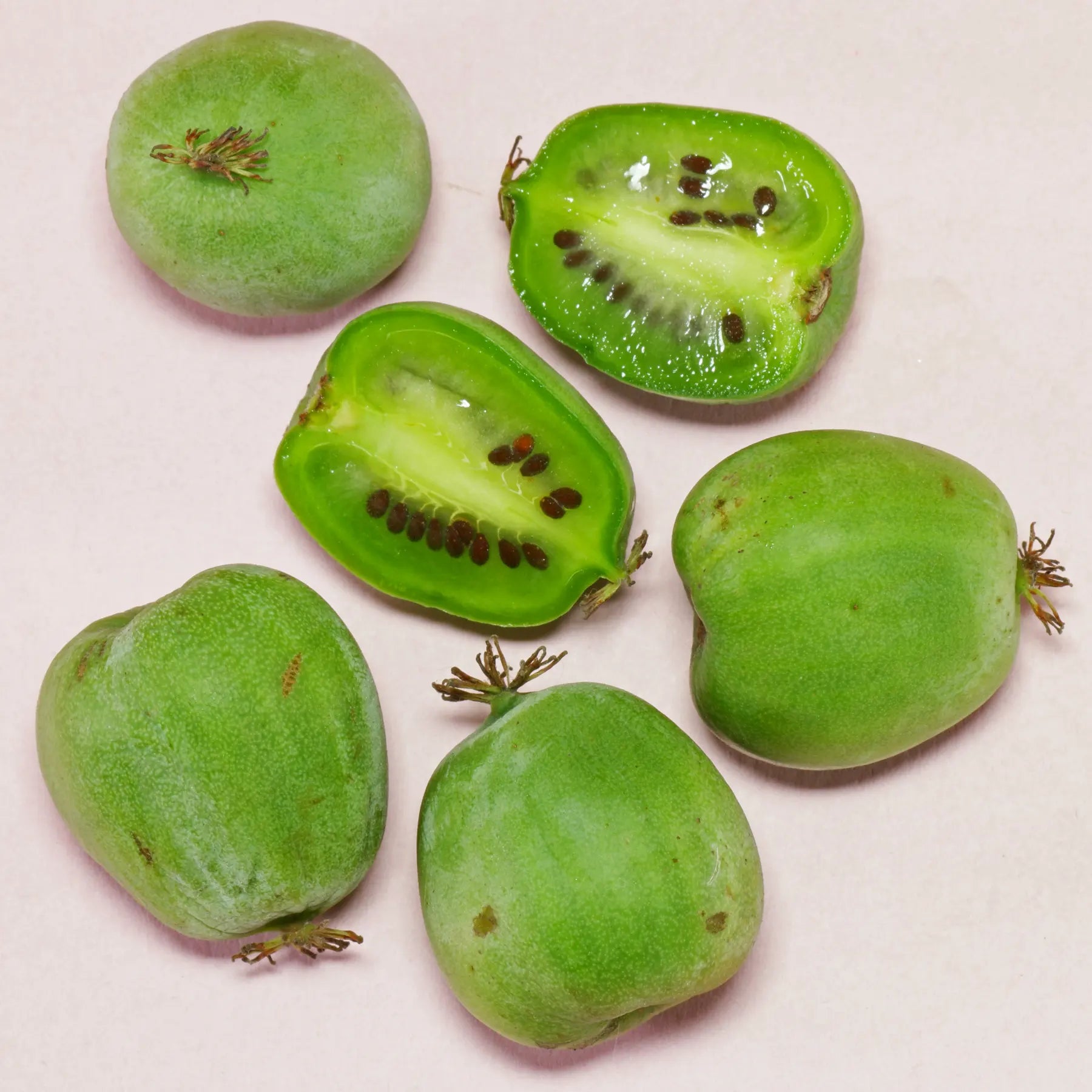 kiwi fruit seeds for planting Kiwi Berry (Actinidia arguta) Fruit Seeds for Planting – Heirloom, Non – Pure Asia Seeds