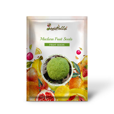 Maclura Fruit Seeds Planting Guide: Tips for Successful Growth
