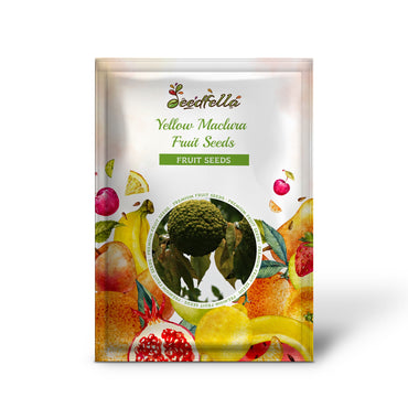 Yellow Maclura Fruit Seeds Planting