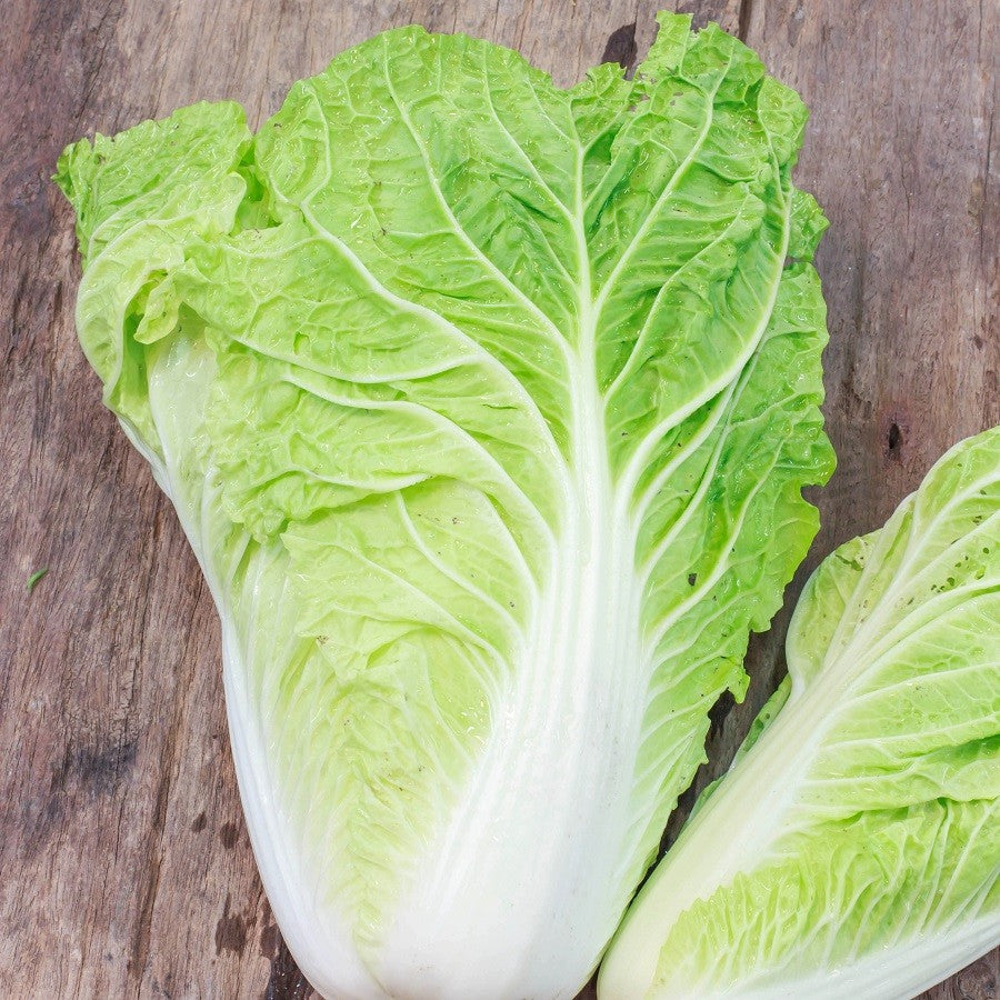 Michihili Cabbage Vegetable Seeds