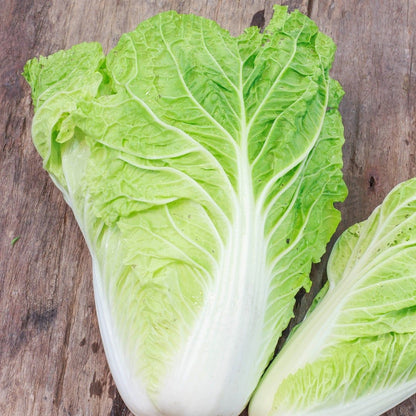 Michihili Cabbage Vegetable Seeds