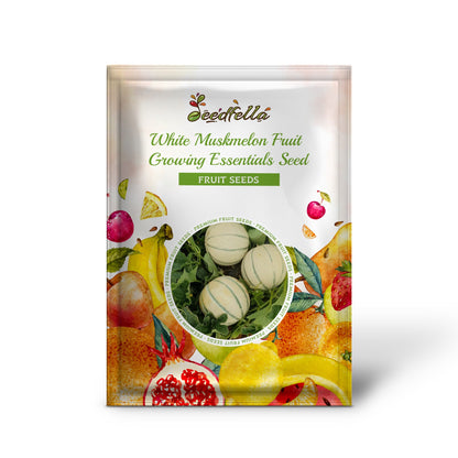 White Muskmelon Fruit Growing Essentials - Seed for Juicy and Refreshing Harvests