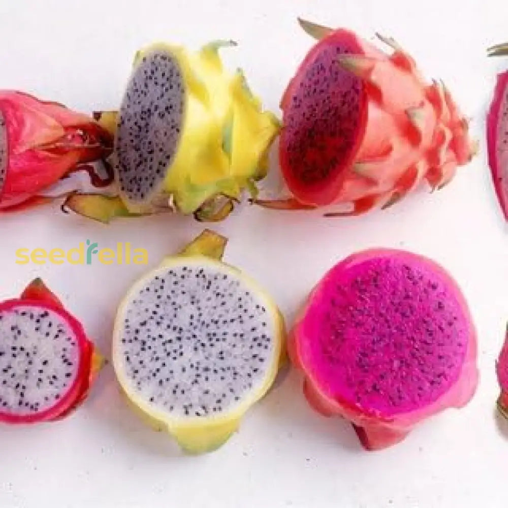 Dragon Fruit Seeds for Easy Planting