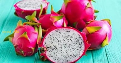 Pitaya Seeds Collection for Easy Planting