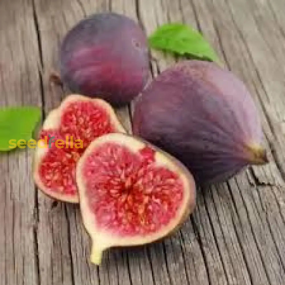 Red Fig Tree Seeds for Planting Seed for Lush, Sweet Harvests in Gardens and Backyards