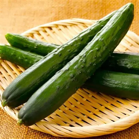 Japanese Long Cucumber Seeds – Tender & Burpless