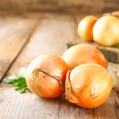 スイートオニオン野菜の種