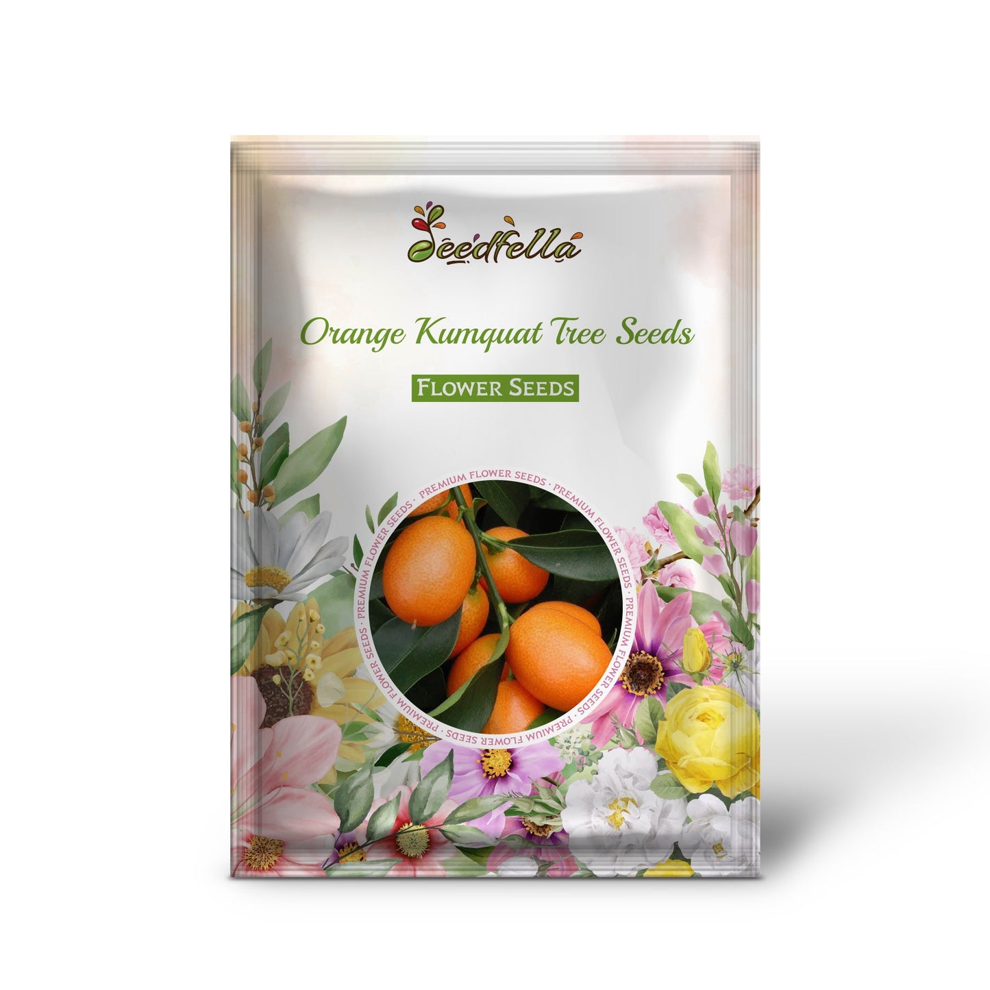 Orange Kumquat Tree Seeds for Planting Grow Your Own Citrus