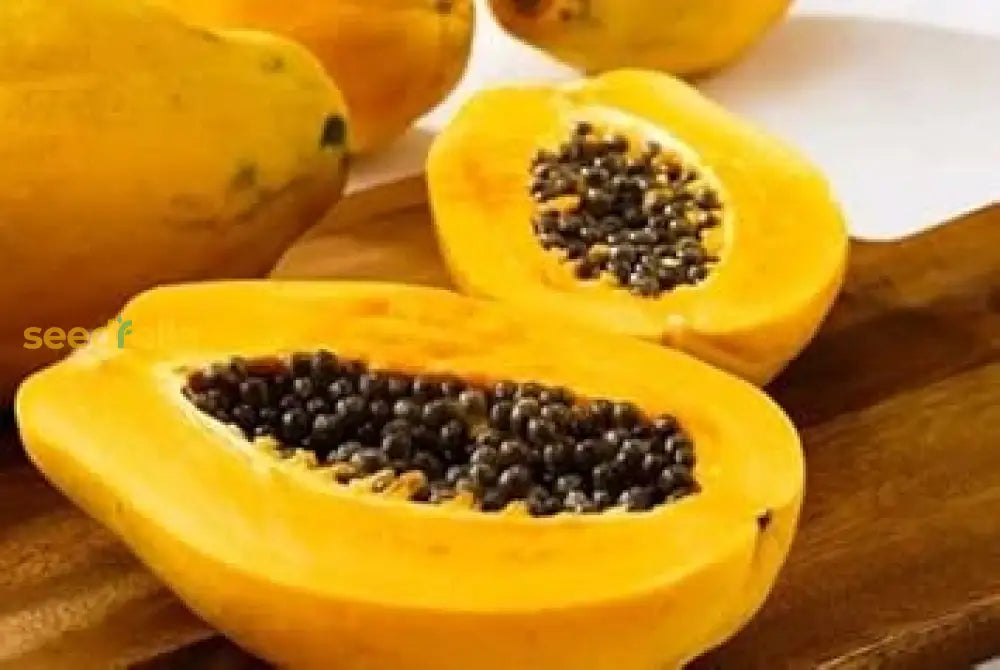 Papaya Seeds For Planting Grow Delicious Tropical Fruits At Home heirloom non-gmo organic garden seeds