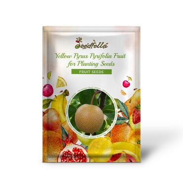 Yellow Pyrus Pyrifolia Fruit for Planting - Seeds for Thriving Orchards and Sweet Treats