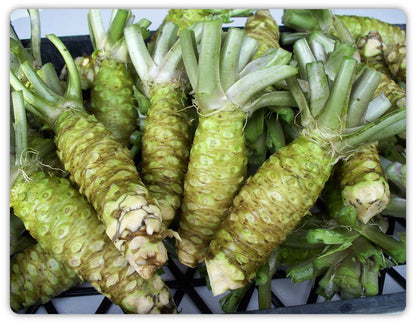 Wasabi Vegetable Seeds