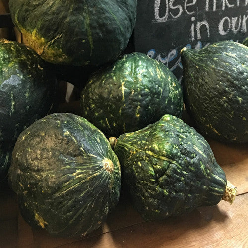 Hubbard Squash Fruit Seeds