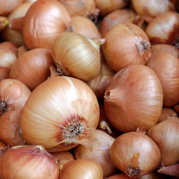 スイートオニオン野菜の種