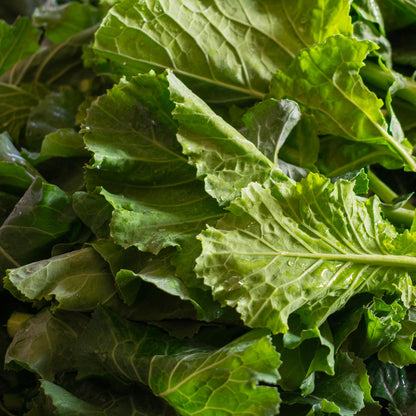 Las siete mejores semillas de nabo verde