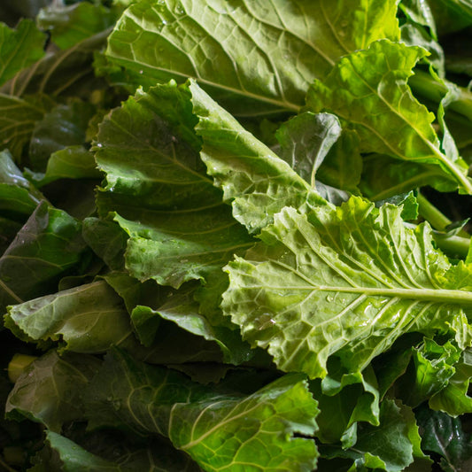 Las siete mejores semillas de nabo verde