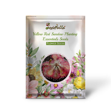 Yellow Red Sundew Planting Essentials Seeds for Enchanting Carnivorous Plant Growth
