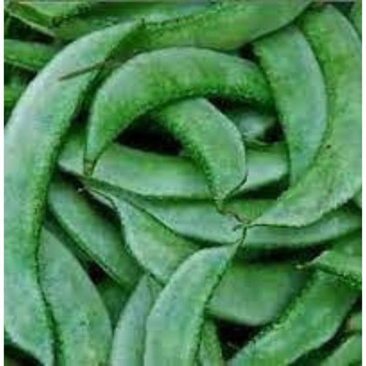 Lima Bean Vegetable Seeds