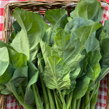 Semi di verdura Broccoli Gai Lan