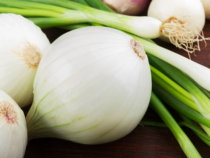 White Sweet Spanish Onion Vegetable Seeds