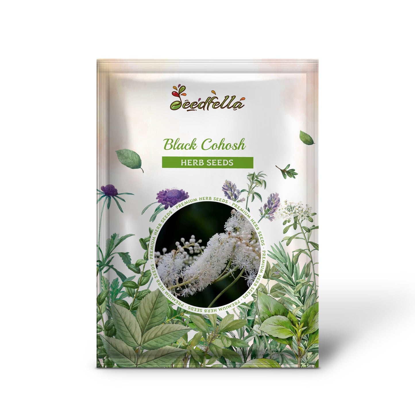 Black Cohosh (Actaea racemosa / Cimicifuga) Bugbane Snakeroot Native White Shade Flower Herb Seeds