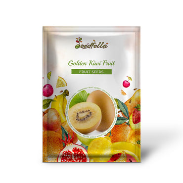 Golden Kiwi Fruit (Actinidia chinensis) Vine Seeds – Yellow Kiwifruit, Chinese Gooseberry, Flowering Vine