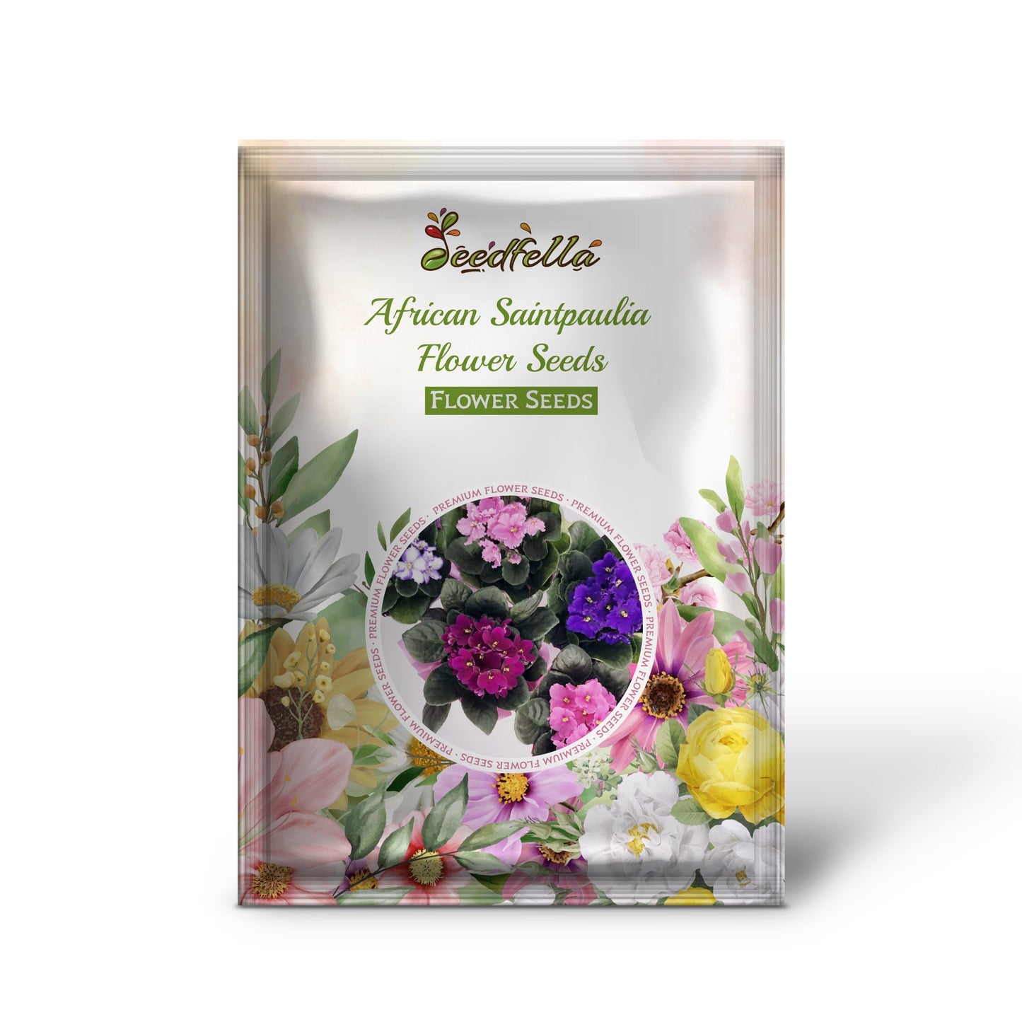 African Violet Seeds for Exotic and Colorful Flower Blooms