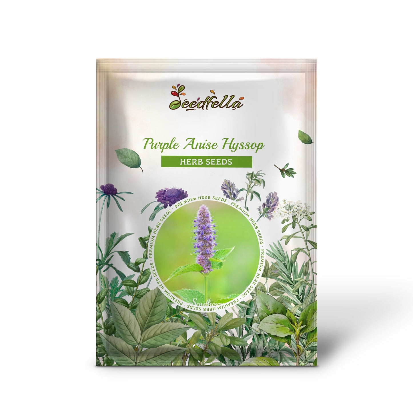 Purple Anise Hyssop (Agastache foeniculum) Herb Flower Seeds