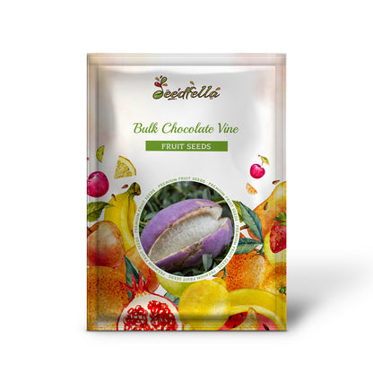 Bulk Chocolate Vine (Akebia quinata) Edible Fruit & Fragrant Flower Seeds