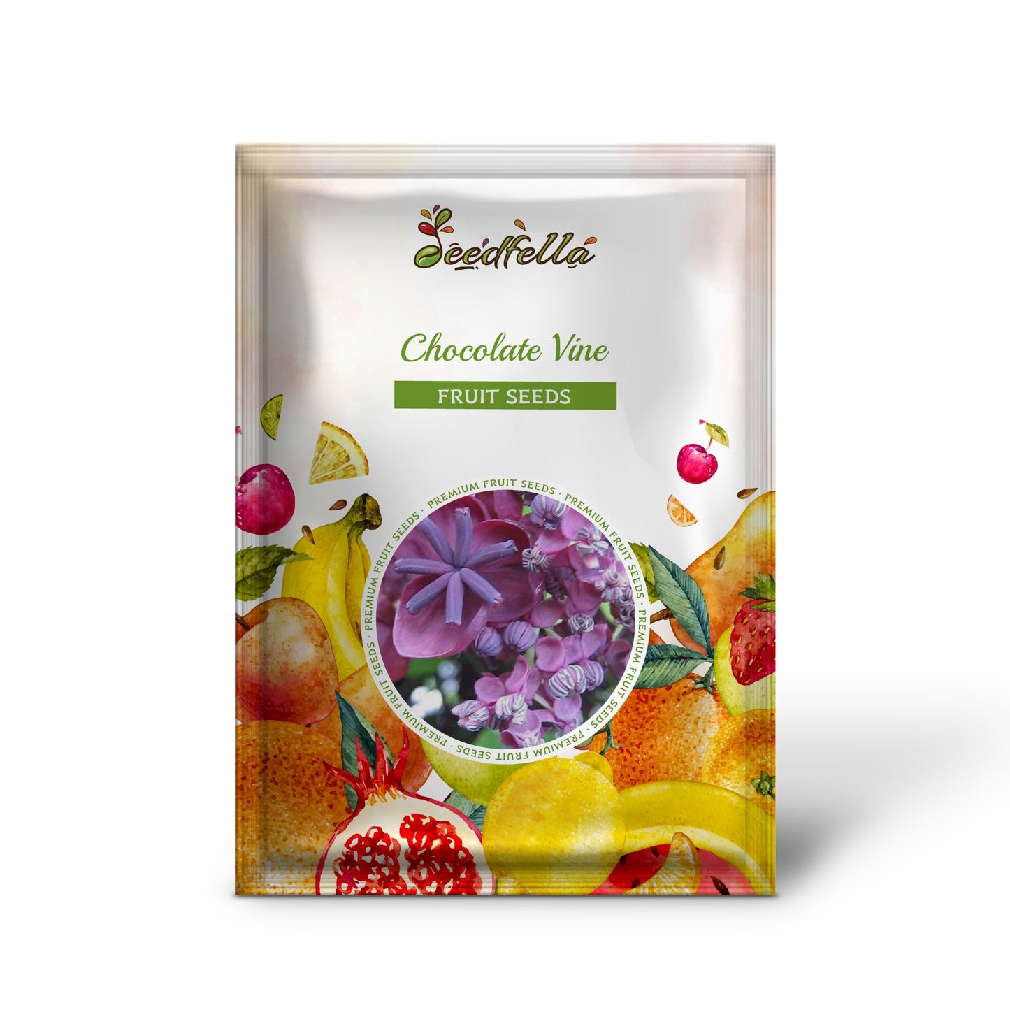 Chocolate Vine (Akebia trifoliata) Edible Fruit & Ornamental Climber Seeds