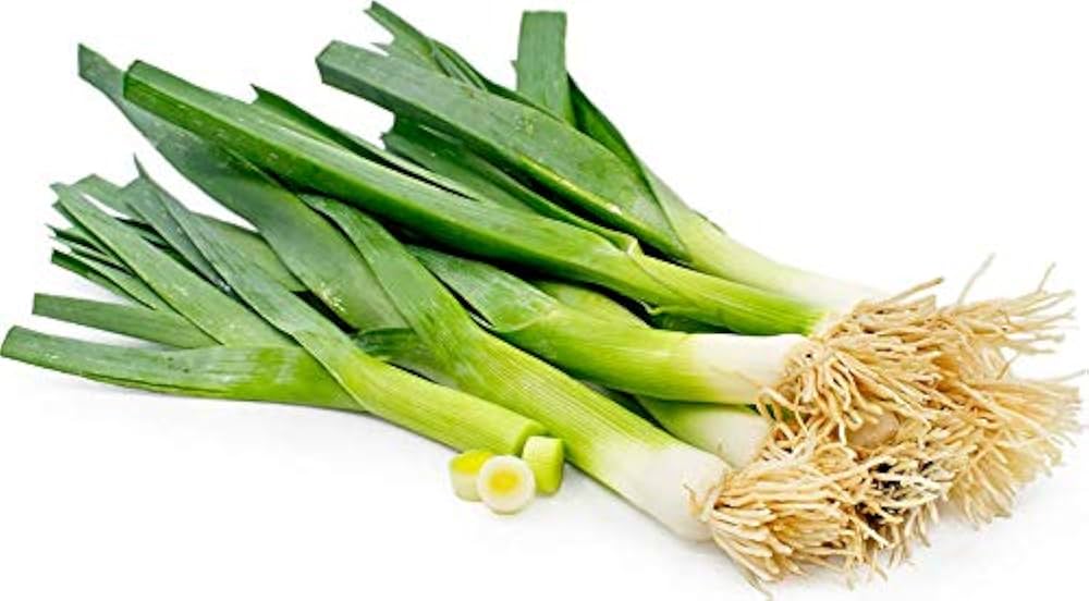 Casimir Leek Allium ampeloprasum Seeds for Planting herb patch vegetable garden