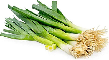 Casimir Leek Allium ampeloprasum Seeds for Planting herb patch vegetable garden