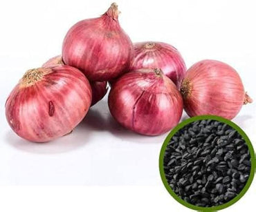 Onion Allium cepa Vegetable Seeds for Planting