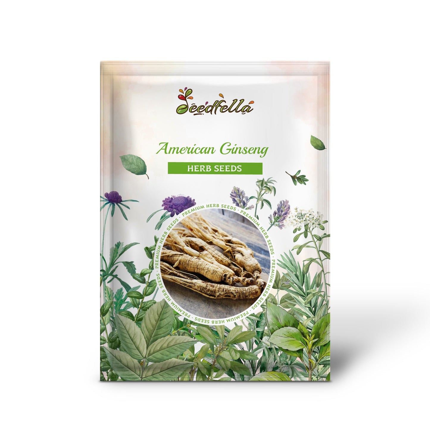 American Ginseng (Panax quinquefolius) Shade Herb Seeds