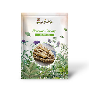 American Ginseng (Panax quinquefolius) Shade Herb Seeds