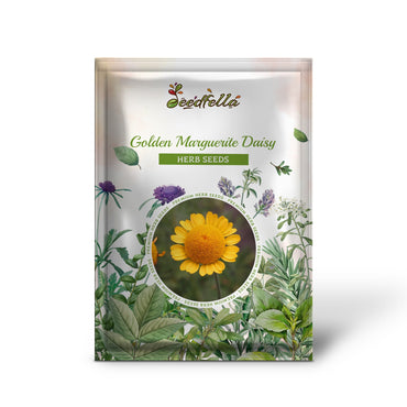 Golden Marguerite Daisy (Anthemis tinctoria), Dyer’s Yellow Chamomile, Paris Daisy Herb & Flower Seeds
