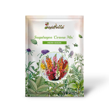 Snapdragon 'Corona Mix' (Antirrhinum Majus) Flower Seeds